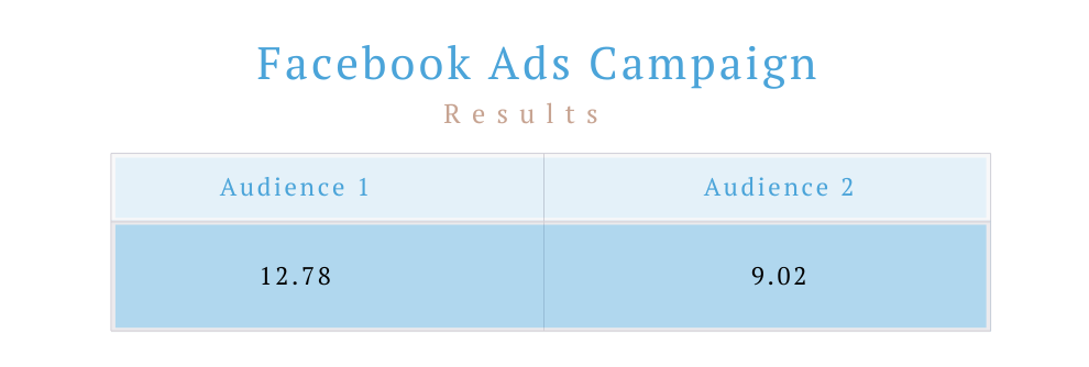 facebook ads for local service business campaign results